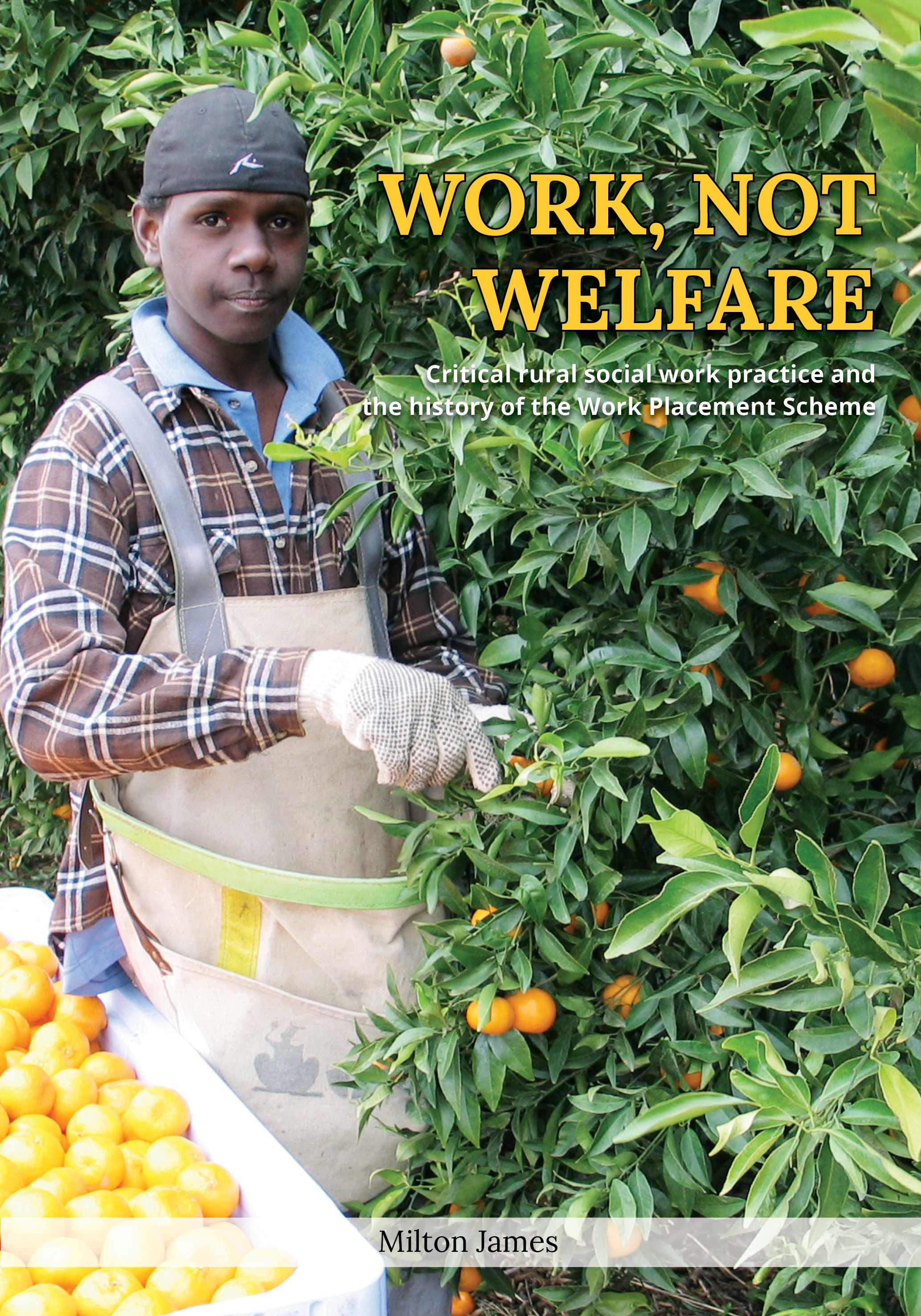 Work, Not Welfare: Critical Rural Social Work Practice and the History of the Work Placement Scheme
