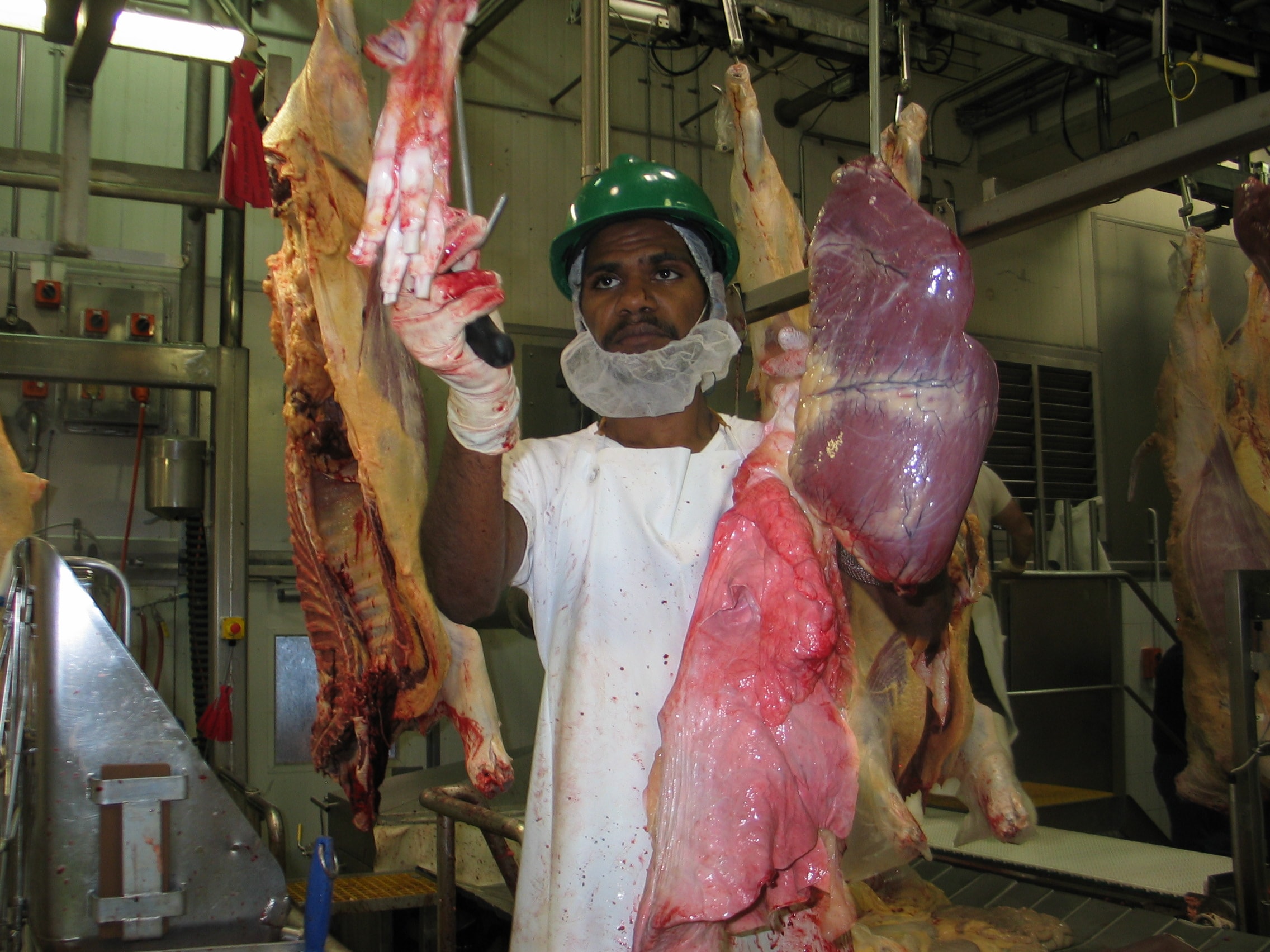 Indigenous worker in meat processing facility